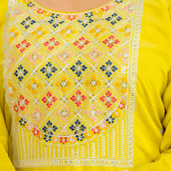Viscose Chanderi With Embroidery