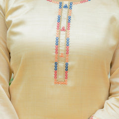 Viscose Assam Silk With Embroidery