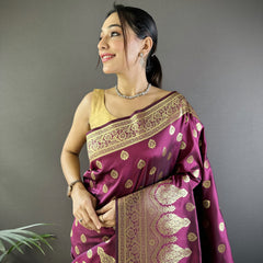Vaishali Banarasi Lichi Silk Saree