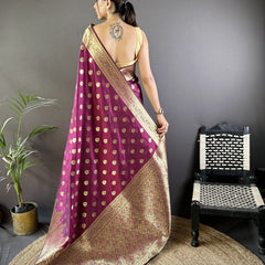 Vaishali Banarasi Lichi Silk Saree