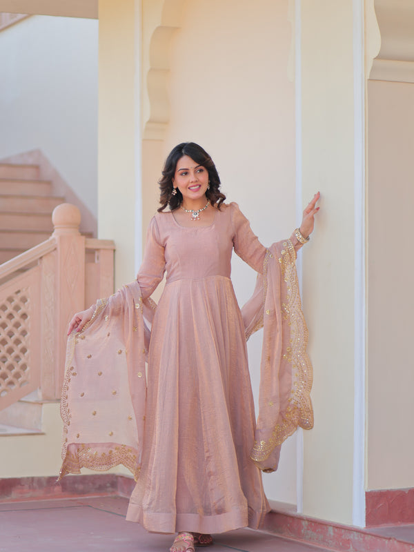 Fendy Chiffon Embroidered Gown