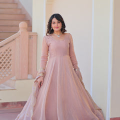 Fendy Chiffon Embroidered Gown