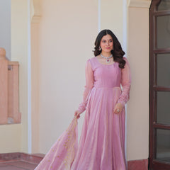 Fendy Chiffon Embroidered Gown