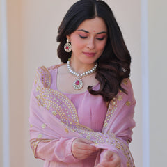 Fendy Chiffon Embroidered Gown