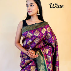 Rasbhari Banarasi Style Patola Weaving Saree