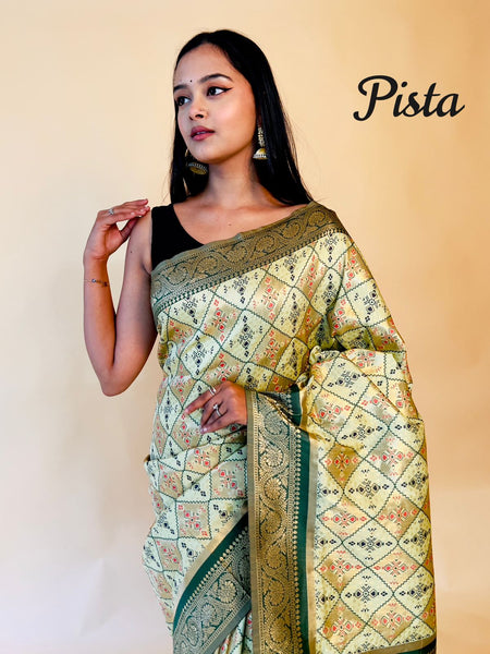 Rasbhari Banarasi Style Patola Weaving Saree