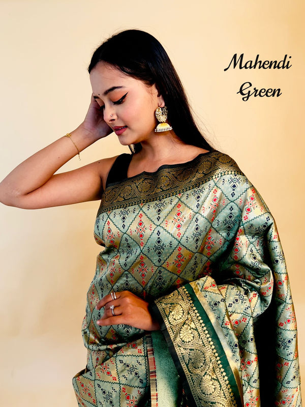 Rasbhari Banarasi Style Patola Weaving Saree