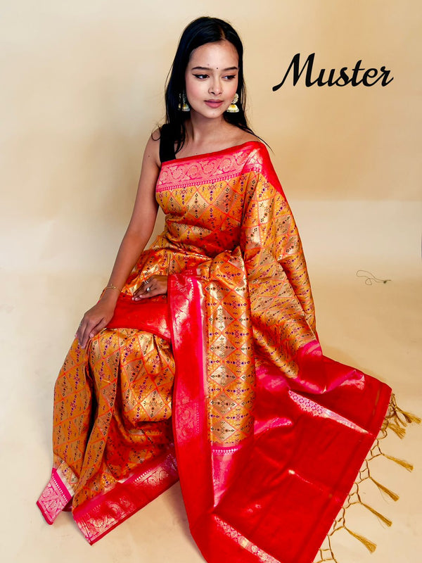 Rasbhari Banarasi Style Patola Weaving Saree