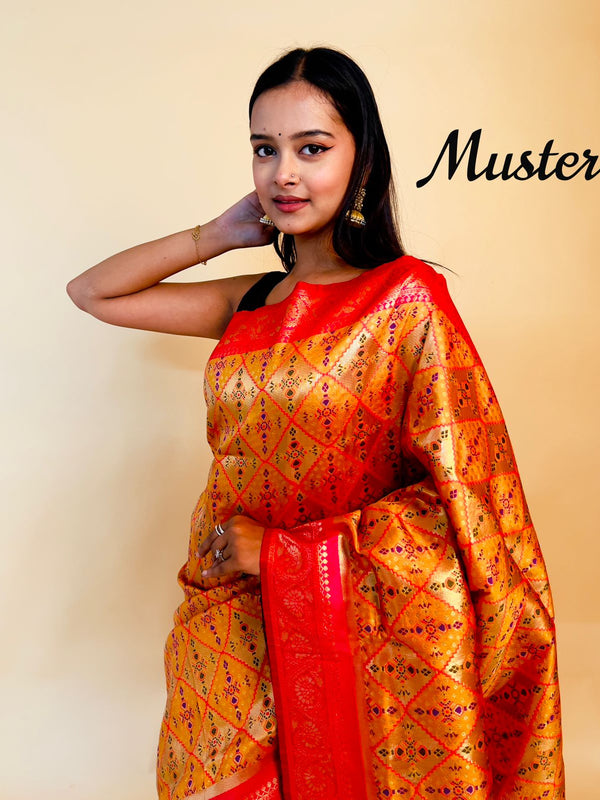 Rasbhari Banarasi Style Patola Weaving Saree