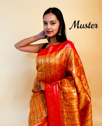 Rasbhari Banarasi Style Patola Weaving Saree