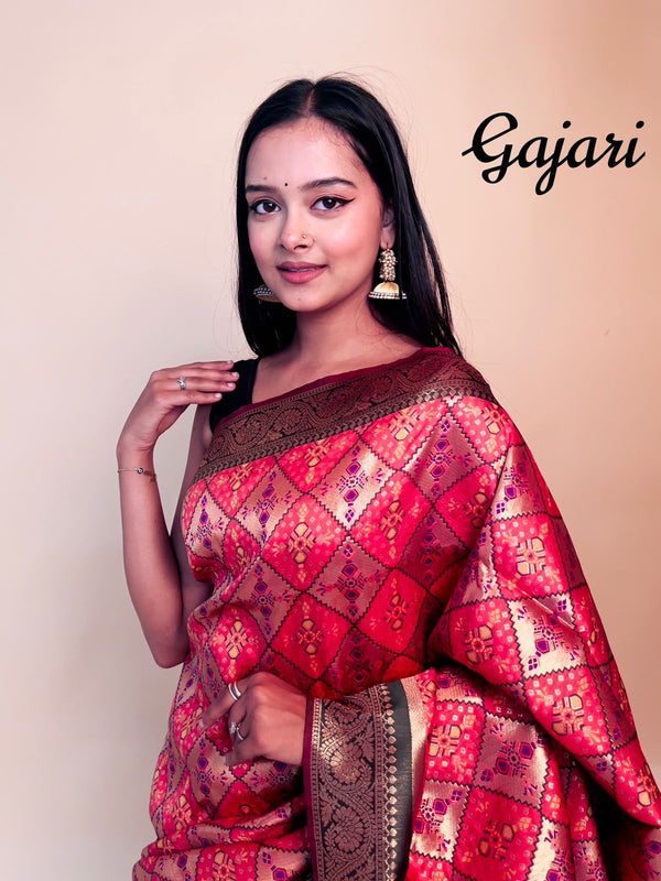 Rasbhari Banarasi Style Patola Weaving Saree