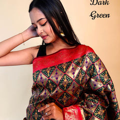 Rasbhari Banarasi Style Patola Weaving Saree