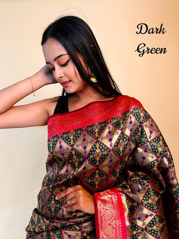 Rasbhari Banarasi Style Patola Weaving Saree