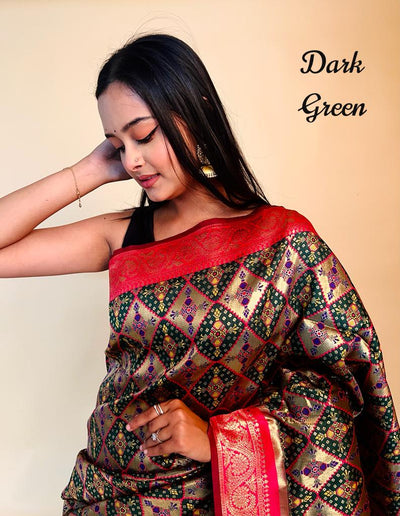 Rasbhari Banarasi Style Patola Weaving Saree