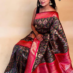Rasbhari Banarasi Style Patola Weaving Saree