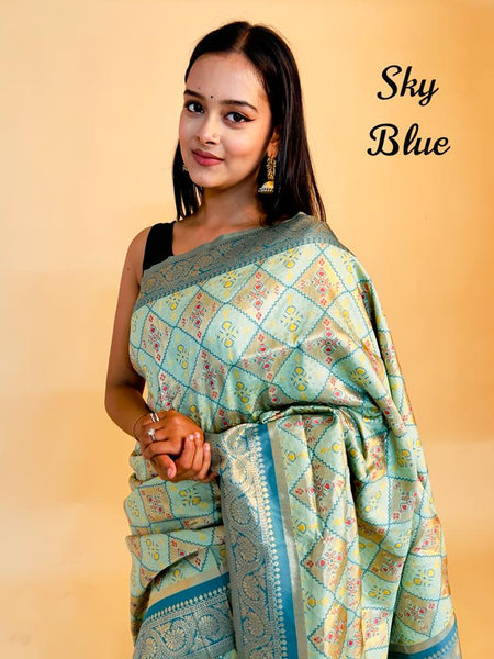 Rasbhari Banarasi Style Patola Weaving Saree