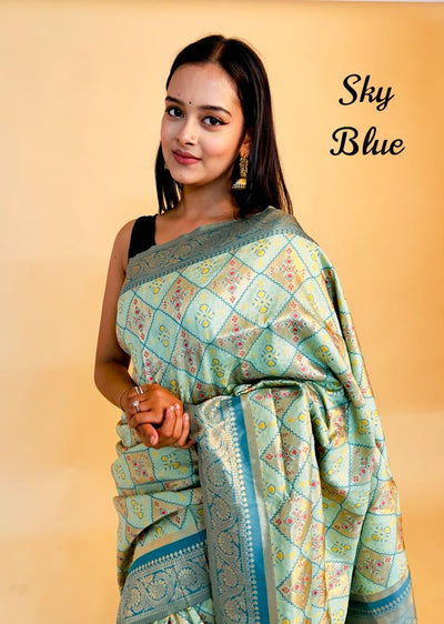 Rasbhari Banarasi Style Patola Weaving Saree