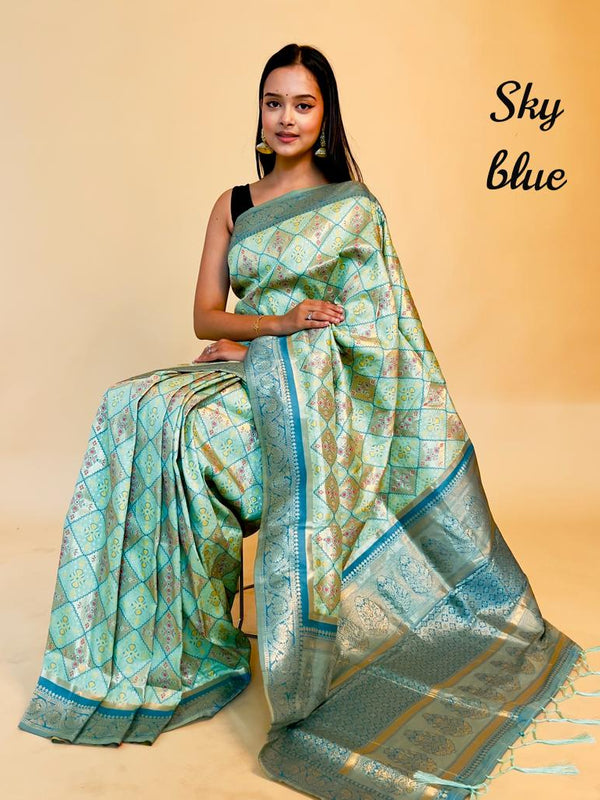 Rasbhari Banarasi Style Patola Weaving Saree