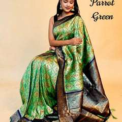 Rasbhari Banarasi Style Patola Weaving Saree