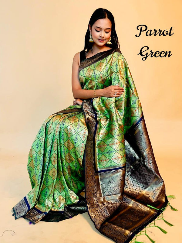 Rasbhari Banarasi Style Patola Weaving Saree