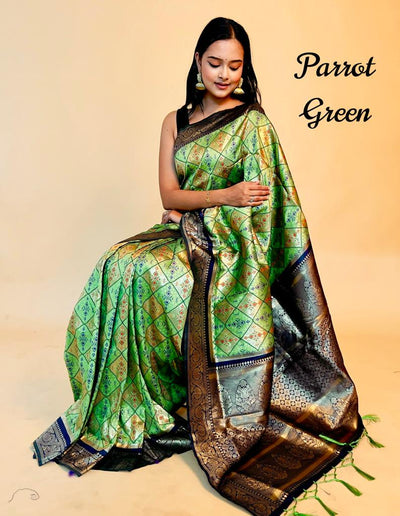 Rasbhari Banarasi Style Patola Weaving Saree