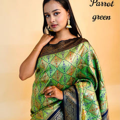 Rasbhari Banarasi Style Patola Weaving Saree