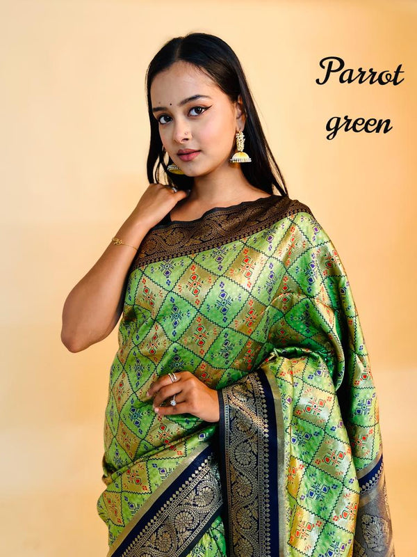 Rasbhari Banarasi Style Patola Weaving Saree